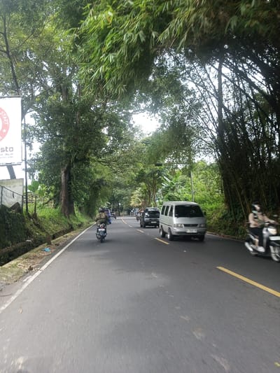 A road stretches ahead, framed by lush green trees forming a natural tunnel overhead. Several vehicles, including a silver van and motorcycles, travel along the asphalt. A yellow line marks the edge of the road on the right. A sign with a logo is visible on the left, near a raised embankment with green vegetation. Bamboo trees are present on the right side of the road.