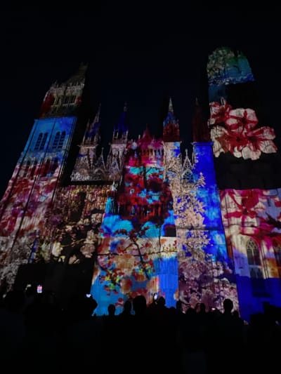 This image depicts the Cathédrale Notre-Dame de Rouen in Rouen, France, at night, illuminated by a dynamic light projection show. The Gothic cathedral's elaborate facade is blanketed in vibrant, multicolored projections that feature intricate floral and botanical patterns, including blossoming trees, branches, and large, abstract flowers in shades of red, blue, pink, purple, and white. The projections interact with the architectural details of the towers, spires, and windows. In the foreground, a silhouetted crowd of spectators is gathered, looking upwards at the illuminated structure. Several individuals within the crowd are discernible holding smartphones aloft, indicative of recording or photographing the light spectacle. The sky above the cathedral is dark and clear.
