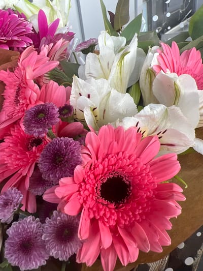 This image is a close-up, eye-level shot of a vibrant bouquet of flowers. The bouquet is a mix of pink gerbera daisies and white alstroemerias, with smaller purple chrysanthemum-like flowers interspersed. The gerbera daisies, particularly the large one in the foreground, are a bright, almost neon pink with dark centers. The alstroemerias are white with delicate green streaks and dark speckles on their petals. The smaller purple flowers have a more dense, ruffled appearance. The flowers are arranged in a bouquet, possibly wrapped in brown paper at the bottom, partially visible. The background is blurred, but appears to be an indoor setting with some reflective surfaces and possibly a light-colored wall. There are no people or animals visible in the image. The lighting is bright and natural, highlighting the textures and colors of the flowers. The image does not contain any information that would allow for the identification of its location in the city of Hadera, Israel.
