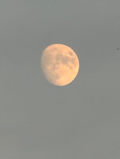 A nearly full moon, illuminated by an unseen light source, is visible against a hazy, pale sky. The moon is a warm, orangish-yellow hue with discernible surface features, appearing soft-edged and slightly blurred, suggesting atmospheric conditions or a photograph taken with a moderate zoom. The background is a uniform, overcast gray, with a slight gradient from top to bottom. In the upper right corner of the frame, a minuscule, dark speck, possibly a bird or insect, is captured in flight, creating a subtle contrast against the muted sky. The image lacks any identifiable human presence or urban structures, focusing solely on the celestial body and its atmospheric surroundings. There is no information within the image that can definitively place this scene in Khotianivka, Ukraine.