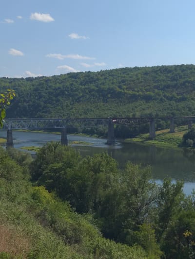 This is a scenic, eye-level, wide-angle shot of a river and a railway bridge in Zalishchyky, Ukraine. The image is dominated by lush green vegetation, with a densely forested hillside forming the backdrop. The river, a dark, reflective blue, flows gently across the middle ground. Spanning the river is a long, sturdy railway bridge constructed of metal and supported by concrete piers. The bridge's intricate latticework is visible, suggesting a functional but also somewhat industrial element in the otherwise natural landscape. The sky above is a clear, pale blue with a few scattered white clouds. The foreground is filled with more trees and foliage, creating a sense of depth and emphasizing the natural beauty of the location. The image appears to have been taken on a sunny day.