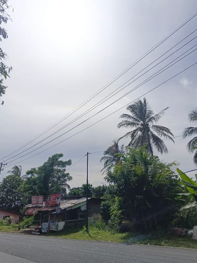 The image displays a sunlit roadside scene, likely in a rural or semi-rural area, consistent with the given context of Carcar, Philippines. In the foreground, a paved road stretches across the bottom, bordered by overgrown grass and dense tropical vegetation on the right.
On the left side of the frame, set slightly back from the road, is a small, single-story shop or stall. This structure features a weathered, corrugated metal roof and what appears to be a simple counter area. Several red and white signs are affixed to the shop's front. Visible text on these signs includes "RED HORSE EXTRA STRONG" and text associated with "KAPE CUP" or "COFFEE CUP," accompanied by an illustration of a coffee cup. These details suggest the shop sells beverages, possibly including the popular Filipino beer brand Red Horse and coffee.
The environment is lush with greenery. Numerous tall, dense trees, including several prominent palm trees (likely coconut palms) with dark fronds, dominate the background and sides of the frame. Above the trees, multiple parallel power lines traverse the bright, slightly hazy sky, supported by a dark utility pole situated in front of the shop. Another utility pole is partially visible on the far left.
The time of day appears to be daytime, possibly late morning or early afternoon, given the high position of the sun which creates a luminous, almost washed-out effect in the sky. The weather is bright and clear, with no indications of rain. No people are visible, and no specific activity is taking place, presenting a tranquil and typical view of a roadside establishment in a tropical setting.