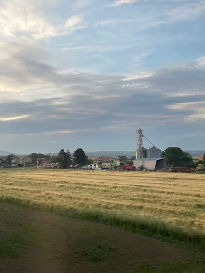The image depicts a rural landscape, likely in the Surcin Urban Municipality, Serbia, as it shows a field of golden wheat ready for harvest. A line of trees and buildings is visible in the midground, with a white building with a metal tower and silos standing out. Beyond this, the sky is filled with long, streaky clouds. The field takes up a significant portion of the image, and the foreground is somewhat blurry, suggesting the photo was taken from a moving vehicle.