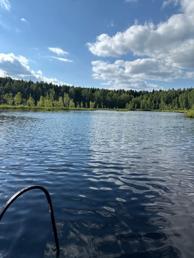 This is a medium shot, taken from a boat, of a serene lake on a sunny day. The left side of the frame is dominated by a bright blue sky filled with fluffy white clouds. A dense, green forest lines the opposite bank of the lake, creating a stark contrast with the open sky. The water's surface is rippled, reflecting the sky and the trees, giving it a dynamic texture. The sun is high in the sky, suggesting it's likely midday. The scene evokes a sense of peace and tranquility, typical of a summer day spent outdoors. There is no visible text in the image. The context of Приозерное Снт, Russia, places this scene in a natural, possibly recreational setting.