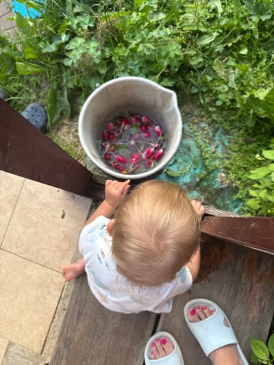 A top-down, medium shot captures a child with blonde hair and a white t-shirt featuring a blue and orange fish pattern, sitting on a wooden porch overlooking a garden. The child is positioned near a wooden railing, with their back to the camera. To the child's left, a gray bucket is partially visible, filled with radishes submerged in water. The garden is lush and green, with a variety of plants and some dried leaves scattered on the ground. The porch floor is a mix of light-colored tiles and weathered wooden planks. To the right of the frame, two pairs of feet wearing light blue slides with bright pink toenails are visible on the wooden planks. The overall scene suggests a rural or suburban outdoor setting in Дзержинец-83 Снт, Russia, possibly during harvest time.