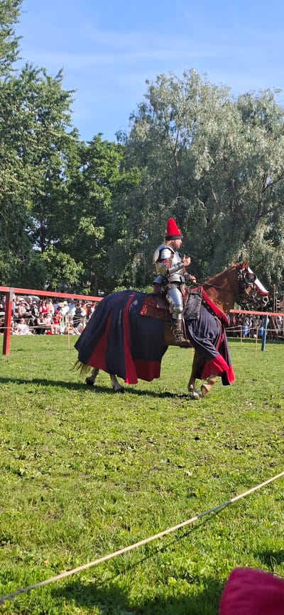 A man in medieval armor, wearing a red conical hat, rides a brown horse across a grassy field. The horse is adorned with a dark blue and red patterned cape that drapes over its hindquarters. In the background, a crowd of spectators is seated behind a red barrier, and beyond them are trees. The scene appears to be a historical reenactment or jousting event. This image was taken at the Turku Medieval Market, a popular annual event held in Turku, Finland, which recreates life in the Middle Ages.