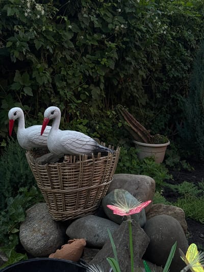 This is a nature-themed decorative arrangement, likely for an outdoor garden setting. The primary subjects are two wooden stork figurines, painted white with red beaks, positioned near a woven basket. One stork is perched slightly higher than the other. The basket appears to be made of wicker.

Behind the storks, a potted cactus is visible, with its pot lying on its side amongst dense green foliage. The foliage is a mix of leafy plants and some darker, conifer-like greenery. In the upper right portion of the image, decorative elements include a cluster of large, smooth stones and what appear to be artificial butterflies or dragonflies, one with pink wings and another with yellow-green wings.

The scene suggests a garden or outdoor decorative display. The lighting indicates it may be late afternoon or early evening, with the natural light creating some shadows within the dense foliage. There are no people or text visible in the image. The overall mood is one of whimsical garden decoration. The provided location context is Yegorlykskaya, Russia.
