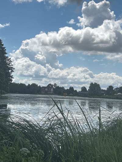 This is a wide-angle, eye-level, outdoor, daytime photograph of a tranquil lake scene. In the foreground, lush green grass and some small white flowers are visible, partially obscuring the view of the water. The lake itself is covered with a dense layer of water lilies and reflections of the sky. Across the lake, a line of trees forms the background, with a large, multi-story, red-roofed house with white trim and numerous windows standing out amongst the greenery. Further to the right, other houses and buildings are visible, some with yellow elements. The sky above is a bright blue, punctuated by large, fluffy white clouds that cast shadows on the landscape. A single, small boat can be seen on the lake. The overall impression is one of peaceful natural beauty. This scene is likely located in the vicinity of Iwye, Belarus, given the architectural style of the houses and the natural landscape.