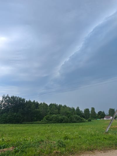 A wide shot captures a rural Belarusian landscape under a dramatic, overcast sky. The upper portion of the image is dominated by heavy, grey clouds with a bright, illuminated edge on the left, suggesting an approaching storm or sunset. A distinct cloud formation arcs across the sky, creating a dynamic contrast against the lighter hues.
Below the sky, a dense line of dark green trees forms the horizon. These trees vary in height and density, creating a textured woodland edge. In the foreground, a vibrant green meadow stretches across the frame, dotted with small white wildflowers. The meadow appears to be slightly sloped.
To the right of the trees and in the distance, a small white house with a brown roof is visible, indicating a settlement. Power lines are strung horizontally across the middle ground, passing over the meadow and trees. On the far right, a concrete utility pole stands tall, partially obscuring the view of the house. A dirt road or path is visible in the very bottom right corner. The overall scene conveys a sense of impending weather change in a tranquil, rural setting.