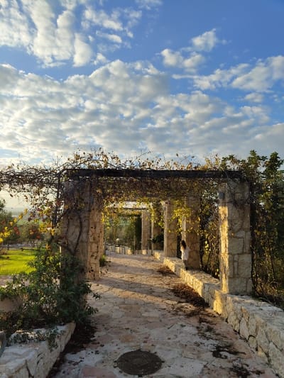 A stone pergola extends from right to left, creating a shaded path. Vines with autumn foliage adorn the structure. Sunlight streams through the openings, casting shadows on the stone path. Beyond the pergola, green grass and trees appear. A bright blue sky filled with puffy white clouds fills the left side of the frame.