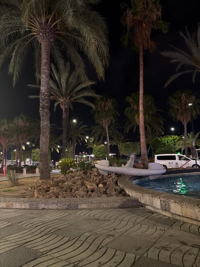 This media file depicts a night scene in Sant Antoni de Portmany, Spain, featuring a row of palm trees along a paved walkway next to a body of water, likely a pool or fountain, illuminated with green lights. The walkway is paved with interlocking stones arranged in a wavy pattern. A large, grey, anchor-shaped sculpture is visible near the water's edge.

In the background, a white van with the text "DC-10" is parked. Various streetlights are on, illuminating the palm trees and the surroundings. The time of day is clearly night, and the weather appears calm. The scene evokes a tropical or Mediterranean ambiance, typical of a seaside resort town. There is no clear indication of people engaged in any specific activity, but the presence of the van suggests it might be a public area or a transportation hub. The overall mood is serene and somewhat festive due to the lighting.