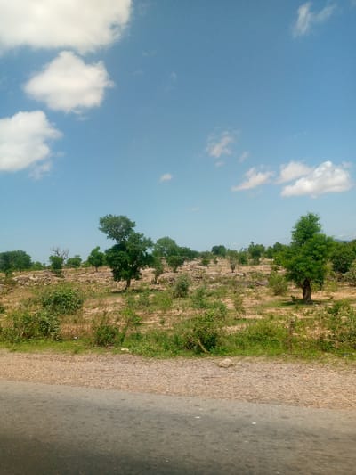 The image displays a wide landscape in Lakweme, Nigeria, captured from a low perspective, likely from a vehicle on a road. The upper two-fifths of the frame consist of a clear, light blue sky with scattered white cumulus clouds, notably a cluster in the upper left quadrant. The midground and background present an undulating, rocky, and semi-arid terrain characterized by light brown soil and numerous visible rock formations and scattered stones. This landscape is sparsely populated with vegetation, including various trees with green foliage, such as a prominent, full-canopied tree on the mid-right and another near the center. Other trees appear smaller or have less dense foliage, with a few appearing bare in the distance. The ground cover consists of patches of green scrub and low bushes, intermingled with dry grass and exposed earth. The foreground, occupying the bottom fifth of the image, shows a dark gray asphalt road surface on the left, transitioning to a light brown, gravelly shoulder or embankment on the right, which supports additional green bushes and low vegetation. No people, animals, or man-made structures are visible within the scene.