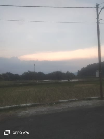 The image depicts a rural landscape in Cileuleuy, Indonesia, likely during dusk or dawn due to the soft, diffused light. The sky is a pale, muted grey with hints of soft orange and pink near the horizon, suggesting the sun is either rising or setting. Heavy, dark clouds are present on the left side of the sky.
The foreground features a road or pathway. Beyond this, a field with harvested rice stalks is visible, with a strip of concrete or stone bordering the path. Further back, there are several flooded rice paddies, reflecting the muted sky. A tall, thin pole with some decorative elements on top stands in one of the paddies, possibly a marker or a traditional flag. A dark silhouette of trees forms a dense treeline across the middle ground, and a hill or mountainside covered in vegetation is visible in the background on the right. A utility pole with wires is prominently positioned on the right side of the image, with a small white box attached to it. A motorcycle is parked in the distance, near one of the flooded paddies.
The overall mood of the image is serene and quiet, characteristic of a rural evening or morning. The lighting conditions contribute to a peaceful atmosphere.
The bottom left corner of the image displays white text: "OPPO A76".