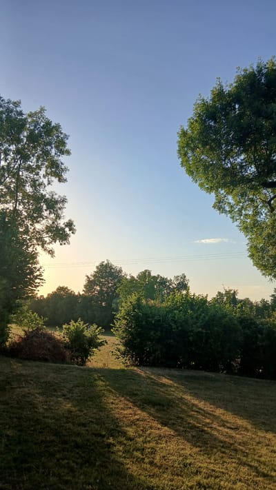 The image depicts a serene outdoor scene, likely in or near Ribérac, France, during the late afternoon or early evening. The sky is a clear, pale blue, transitioning to a warmer hue near the horizon, suggesting the sun is low in the sky.
In the foreground, a grassy slope is illuminated by the slanting sunlight, casting long, distinct shadows across the mown grass. The grass appears dry in some areas, indicating a possible dry spell or simply the natural progression of seasons.
Dominating the middle ground is a line of lush green trees and bushes, forming a natural barrier. To the left, within this foliage, is a pile of dried branches and brushwood, hinting at recent yard work or natural debris. Further in the distance, more trees are visible, receding into a softly lit landscape.
Framing the scene are two large trees, one on the left and another on the right, their dense green canopies reaching upwards and inwards towards the sky. The tree on the left is partially silhouetted against the lighter sky and the sun's glow, its branches casting dappled shadows. Power lines are subtly visible stretching horizontally across the mid-sky, a man-made element in an otherwise natural setting.
No people or animals are present in the image. The overall impression is one of natural tranquility and quietude, bathed in the golden light of a fading day.