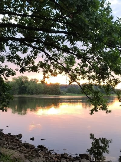This image depicts a serene lake scene at sunset, with the foreground dominated by the rocky shore and overhanging oak branches. The water's surface reflects the warm hues of the setting sun, which is visible as a bright orb behind a dense line of trees across the lake. The sky is a soft blend of pinks, oranges, and blues. There are no people or animals visible in the image. The environment suggests a natural setting, likely a park or a nature preserve. The location is identified as Kestřany, Czechia.