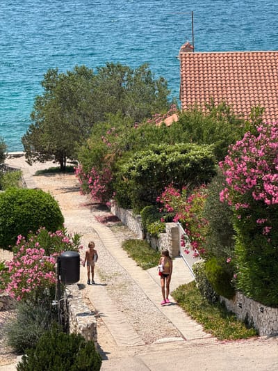 Two people, a man and a woman, are walking on a paved path with gravel on either side. The path is lined with lush greenery, including flowering bushes with pink blossoms and trees. In the background, a tiled roof of a building is visible, and beyond that, the bright blue water of the sea. The scene suggests a warm, sunny day, likely late afternoon given the shadows cast by the people and vegetation. The overall setting appears to be a coastal area in Croatia, possibly near Grad Šibenik, given the architectural style and the proximity to the sea. The people are dressed casually, suggesting a vacation or leisure activity. One person is carrying a white object. There is no visible text in the image.