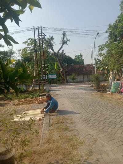 The image depicts a man working on the side of a paved road in what appears to be a rural or semi-rural area, likely Stiaji, Indonesia. The man, wearing a blue shirt, dark pants, and a cap, is kneeling and appears to be preparing or sorting long, cylindrical objects, possibly bamboo or rolled mats. In front of him are several piles of similar materials, some appearing dry and fibrous, others smooth and light-colored and rolled. To his left, a pile of dry, thin, fibrous stalks is visible.
The road is paved with interlocking bricks and a strip of dry grass and dirt runs alongside it. In the background, there are trees, some with lush green foliage and others with sparser branches. A traditional-looking building with a tiled roof is situated behind a low fence. Utility poles with numerous overhead wires are also visible, along with a street lamp. The sky is clear and a pale blue, suggesting a sunny day. Two large bags, one green and one pink, are placed on the right side of the road. A small potted plant with green leaves is in the lower left corner of the frame.