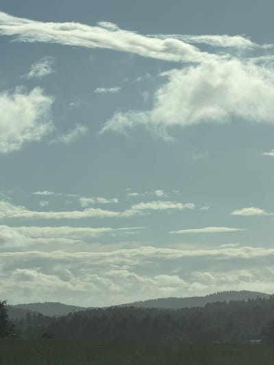 The image presents a wide view of a landscape located in Sandefjord, Norway, under a sky largely covered by clouds. The upper two-thirds of the frame consist of a light blue-grey sky with multiple cloud formations. These include long, thin, wispy clouds in the upper strata, scattered small cumulus clouds, and a prominent middle layer of horizontally elongated, layered clouds with varying densities and brighter sections. A thick band of layered clouds also extends across the horizon, partially obscuring the upper reaches of the distant landmasses.
The lower third of the image displays a terrestrial environment. In the mid-ground, a series of forested hills or ridges are visible, each covered by dense tree growth. These hills recede into the distance, appearing progressively darker and less distinct due to atmospheric haze. A light-colored tree or bush is partially visible on the far left edge, contrasting with the dark silhouette of the nearest hills. The immediate foreground is occupied by a flat, dark green-brown field exhibiting an indistinct textured surface. No individuals, animals, or specific man-made structures are clearly discernible, beyond a very small, faint white object within the distant tree line on the right side of the landscape, whose nature cannot be definitively identified. The scene is illuminated by diffused light, indicative of an overcast or partly cloudy condition.