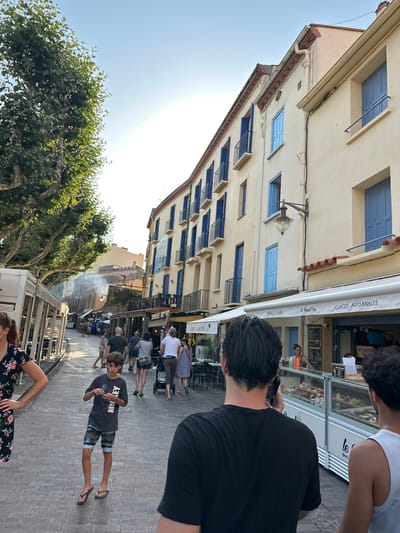 The image depicts a sunlit street scene in Collioure, France, likely during the day. The street is paved with cobblestones and lined with buildings featuring cream-colored facades and distinctive blue shutters. Several shops are visible, including one with a sign advertising "GLACES ARTISANALES" (artisanal ice cream) and another with "CREPES & GAUFRES" (crepes and waffles).

A group of people are walking along the street. In the foreground, the back of a person with dark hair is visible, holding a phone to their ear. To their right, another person in a white tank top is partially visible. Further down the street, a young boy in a t-shirt and patterned shorts is looking at his phone. Other individuals are walking in various directions, some carrying shopping bags. Trees with lush green foliage flank the left side of the street, casting shadows. The architecture suggests a Mediterranean or southern European style.