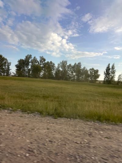 The image shows a natural outdoor scene, likely taken in Novonikolayevka, Russia. The perspective is from a low angle, and the image is rotated, making it appear sideways. The sky is a prominent feature, filled with light blue hues and scattered white clouds, suggesting it is daytime, likely morning or afternoon with fair weather.
The landscape is divided into three main sections. On the left, the sky dominates with its cloudy expanse. In the middle, a lush green grassy field stretches horizontally across the frame. A line of trees with full, dark green foliage stands along the edge of the field, separating it from the sky. These trees appear to be deciduous and are quite dense, casting subtle shadows.
On the far right of the image, a textured surface composed of small pebbles and dirt forms a path or roadside. This granular surface is in sharp focus, contrasting with the softer focus of the field and sky. The overall impression is of a peaceful, rural or park-like setting on a clear day. There is no visible text or indication of human activity within the frame. The lighting suggests it is not yet sunset, as the sky is bright and the shadows are not particularly long.