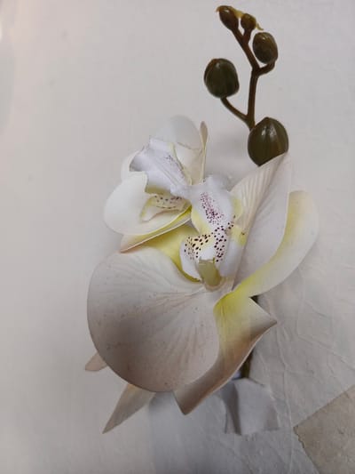 A close-up, overhead shot captures a white artificial orchid with a budding stem against a plain, textured off-white background. The orchid's petals are layered, with some showing hints of yellowing at the edges and delicate purple speckles on the inner structures. A stem with several dark green buds extends upwards from the orchid. The background appears to be a surface with subtle wrinkles and possibly some discoloration in the lower right corner, suggesting it could be a piece of fabric or textured paper. The image does not contain any people or specific identifiable locations within Bireuenmeunasahdayah, Indonesia.
