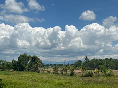This image shows a landscape scene in Tambon Phraek Ha, Thailand. The foreground consists of a lush green grassy field. Beyond the field, there is a line of trees with dense foliage. In the middle ground, the landscape transitions to what appears to be cultivated land, possibly rice paddies, with some scattered palm trees. In the distance, more trees form a thick, dark green treeline. Further in the background, there are mountains visible under a sky filled with dramatic white cumulus clouds against a bright blue sky. A tall transmission tower with wires is also visible in the far distance, slightly left of center. The scene appears to be a rural or semi-rural area, likely during the daytime. There are no people or animals visible in the image.