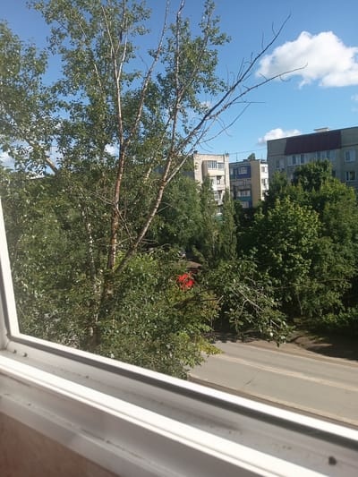 The image shows a view from a window looking out onto a street in Kuznetsk, Russia. In the foreground, there is a white window frame. Beyond the window, a paved street is visible with some cracked asphalt. The street is lined with trees with green foliage. In the background, several multi-story buildings can be seen. One building on the right has a dark red roof and brick facade, while another to the left is a lighter color with many windows. The sky is blue with scattered white clouds. There are no people or vehicles clearly visible in the scene.