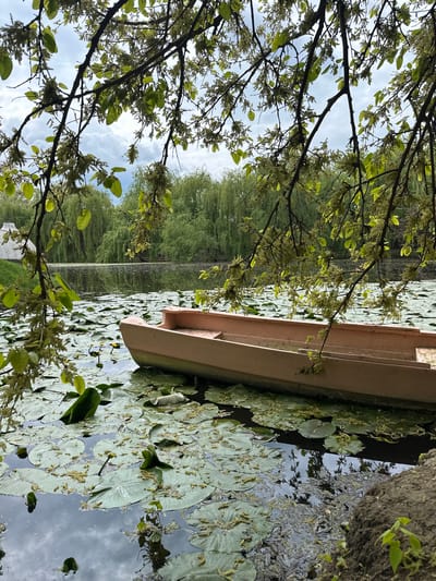 The image depicts a view of a pond covered in lily pads, with a pink canoe resting partially on the pads. A tree branch with green leaves and small flowers frames the left side of the image, partially obscuring the view. In the background, trees line the opposite bank of the pond. The sky is visible through the branches and reflected in the water. The location is the botanical garden in the city of Craiova, Romania.