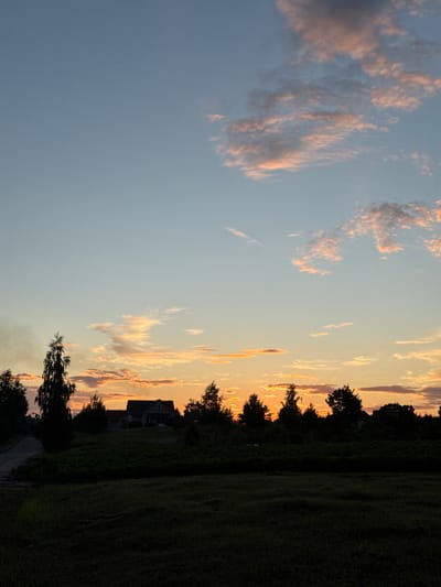 The image depicts a rural sunset scene in the Neman Rural Council, Belarus. A vast, clear sky transitions from a pale blue at the top to a vibrant orange and pink near the horizon. Scattered clouds, tinged with orange and pink hues, drift across the upper half of the sky. The silhouette of a treeline, punctuated by a tall, slender tree on the left, forms the middle ground. A house with a dark roof is visible amidst the trees. In the foreground, a dark, shadowed field suggests a grassy or mown area. A paved road curves into the scene from the left edge, partially visible in silhouette. The overall atmosphere is tranquil and serene, characteristic of a rural evening.