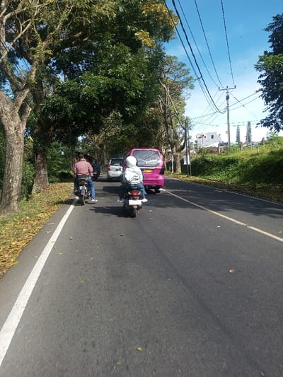 The image depicts a paved road in Phonengam, Laos, under a clear blue sky, with vehicles traveling in the same direction. A person on a dark scooter, wearing a white helmet, light-colored long-sleeved shirt, blue jeans, and white shoes, is in the foreground, positioned slightly to the right of the lane center. To the rider's left and slightly behind, a second person on a dark scooter, wearing a brown long-sleeved shirt and dark pants, is also present. Neither person's face is visible. Ahead of these motorcycles, a bright pink minivan with a yellow license plate is visible, followed by a white car partially obscured behind it. The road surface is dark asphalt with a solid white line marking the left edge of the road and a faded white or yellow dashed line marking the lane to the right. Scattered dry leaves are present on the road surface and the left shoulder. Tall trees with dense green and some yellow foliage line both sides of the road, forming an overhead canopy. On the right side, further down the road, a utility pole with multiple overhead power lines is visible against the blue sky, with a white building and green vegetation visible beyond the trees.