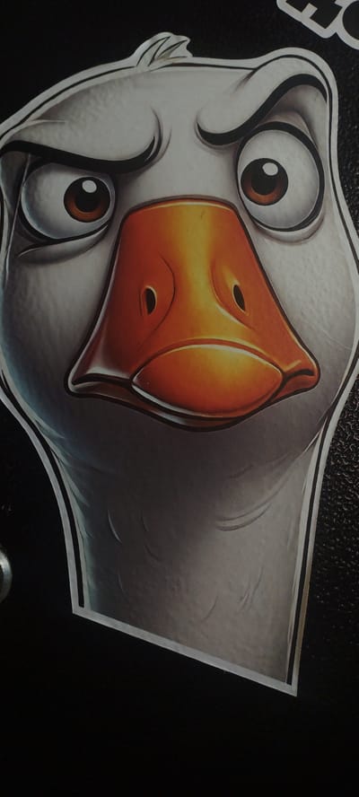 The image shows a close-up of a sticker of a cartoon goose's face, with a grumpy or surprised expression. The goose has large, wide eyes with brown irises and a prominent orange beak with two nostrils. The sticker is on a dark, textured surface, possibly a wall or a piece of furniture. There are no people or other significant objects visible in the immediate vicinity. The image does not contain any information about the city of Покосное, Russia, or any specific location within it.