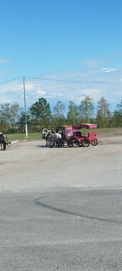 The photograph shows a horse-drawn carriage in what appears to be a parking area. The carriage is red and purple, and is attached to two horses, one white and one brown. The parking area is located in Oktemtsy, Russia. There are trees and a cloudy blue sky in the background.
