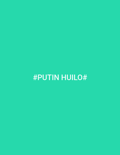 The image displays a solid teal background with white text centered on the screen. The text reads "#PUTIN HUILO#". The context of Brno, Czechia is not present in the image itself.