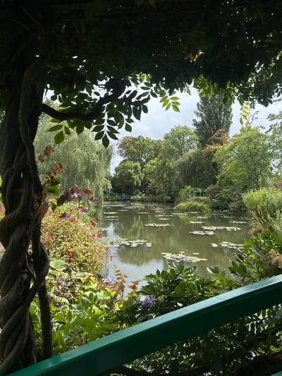 This image depicts a serene landscape within Claude Monet's Water Garden in Giverny, France. The scene is framed by dark green foliage and tree branches overhead, with a prominent, gnarled tree trunk or vine twisting vertically along the left side of the frame. Below the foliage on the left, a vibrant assortment of garden plants and flowers, including reddish and purplish hues, lines the water's edge.

The central feature is a large, placid pond, its surface a muted green, reflecting the overcast sky and surrounding trees. Numerous green water lily pads are scattered across the pond, with some smaller, lighter lily blooms visible among them.

In the mid-ground and background, dense, lush green trees and shrubs encircle the pond, including tall poplars and characteristic weeping willows whose branches droop towards the water. Faintly visible in the distance, partially obscured by trees on the far side of the pond, is the Japanese footbridge, a recognizable feature of the garden, painted in a dark green hue. A green railing or beam crosses the lower right corner of the foreground, hinting at a viewing platform or walkway. The sky is overcast, providing soft, diffused lighting to the entire scene. There are no individuals or animals visible.