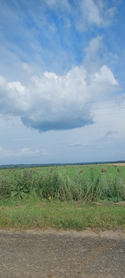 In the city of Кварса, Russia, this image captures a rural landscape under a partly cloudy sky. A road with a gravel surface runs along the bottom foreground. Beyond the road, a lush green field stretches into the distance, dotted with numerous round hay bales. The field is bordered by a line of trees on the horizon. In the mid-ground, tall green vegetation, including plants with spiky seed heads and broad leaves, grows densely along the edge of the road. Four parallel utility wires are visible horizontally across the upper portion of the frame, spanning the sky.
