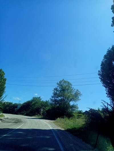 The image depicts a paved road winding through a rural landscape under a clear blue sky. Lush green trees and vegetation line the sides of the road. Several power lines are visible stretching across the upper portion of the frame. In the distance, a building is partially obscured by trees. A road sign with two circles and a horizontal line is visible on the right side of the road. The scene appears to be a sunny day in a rural area, possibly in or around Giaginskaya, Russia, given the context. The road surface shows signs of wear and tear, with some patched areas. The overall impression is one of a quiet, natural setting.