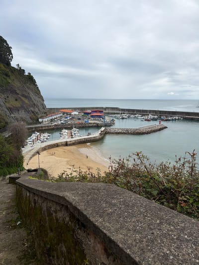 The image depicts an elevated view of the fishing harbor and beach in Lastres, Colunga, Spain, under an overcast sky.

**Environment:** The sky is uniformly light grey, indicating heavy cloud cover. The sea, a muted blue-grey, appears calm, extending to the horizon. A steep, rocky cliff face, heavily vegetated with green foliage and trees on its upper reaches, dominates the left side of the frame. A crescent-shaped sandy beach, partially exposed, forms the inner curve of the harbor basin. Sparse green and reddish-brown thorny shrubs are visible in the immediate foreground, to the right of a stone wall.

**Foreground Objects:** In the foreground, a dark grey, moss-covered stone wall with a flat cap runs diagonally from the lower left to the middle right. A paved stone walkway or staircase descends alongside this wall on the left.

**Harbor and Marina:** The harbor entrance is framed by two concrete breakwaters. The inner breakwater, curving towards the left, features a white guardrail and a small, red cylindrical lighthouse structure at its distal end. Within the sheltered water, numerous white recreational boats and a few smaller vessels are moored to pontoons. A larger, dark-hulled vessel is visible near the outer breakwater.

**Buildings and Infrastructure:** Along the quayside, a row of low-rise buildings with white facades and red-tiled roofs is visible. Some buildings feature blue awnings or canopies. A paved area behind these buildings accommodates several parked vehicles, including multiple cars and what appears to be a yellow taxi.

**People and Actions:** On the sandy beach, approximately four small human figures are discernible, appearing to be walking or standing near the water's edge. No specific interactions are clearly identifiable due to distance.