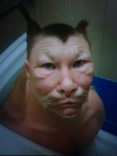 A close-up, low-resolution, grainy image shows a person's face superimposed with a cat-like filter, creating a surreal portrait. The face appears to be that of a middle-aged person with light skin, blue eyes, and a visible mustache area. The filter adds pointed ears to the top of the head and enhances facial features to resemble a feline. The background is blurry and appears to be an indoor setting with muted colors and some blue elements that might suggest a plastic tub or container. The image quality suggests it was taken with a low-end camera or in poor lighting conditions, possibly on a screen or from a distance. There is no discernible information about the specific location within посёлок опытного хозяйства «Ермолино», Russia, or any context of the action or interaction.