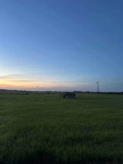 The image depicts a serene, rural landscape at dusk in Ulla, Sri Lanka. The scene is dominated by a vast, green field, likely rice paddies, stretching towards a distant tree line under a gradient sky. The sky transitions from a deep, clear blue at the top left to soft hues of orange and pink near the horizon, indicating the setting sun.

A solitary wooden structure, possibly a small shelter or storage shed, stands within the field, adding a touch of human presence to the natural setting. A utility pole with power lines stretches horizontally across the middle ground, a subtle reminder of civilization amidst the tranquility. The overall mood is peaceful and contemplative.

The lighting suggests it is late evening, with the last rays of sunlight casting long shadows and illuminating the sky. The weather appears calm, with no indication of wind or precipitation. The presence of the green fields and the wooden structure are key visual cues for the location's rural and agricultural context. There is no visible text in the image.