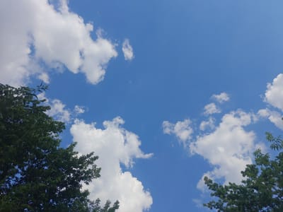 This is a low-angle, full shot photograph of a bright blue sky dotted with white, fluffy cumulus clouds. The upper left and right corners of the image are partially obscured by the dark green foliage of trees. The leaves are dense, creating a natural frame for the sky. There are no people or specific structures visible in the scene, suggesting an outdoor, natural environment. The lighting indicates it is daytime, likely a sunny day. The location in Pryvokzalne, Ukraine, is a rural or park-like setting due to the presence of trees and the open sky.