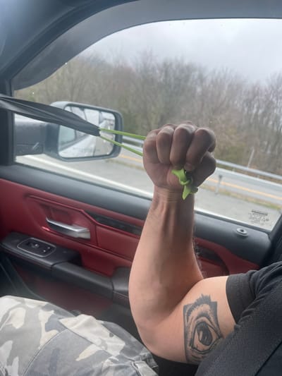 The image, likely taken inside a vehicle traveling on a road near the Town of Fishkill, United States of America, depicts a person holding a green hair tie in their clenched fist. The person has a tattoo on their upper arm. The interior of the vehicle includes a red door panel and camouflage-patterned clothing is visible. Outside the car window, one can see trees and what appears to be a gray, overcast sky. The side mirror of the vehicle is also visible.