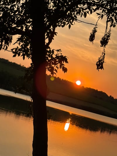A vertical, silhouetted shot captures a tree trunk in the foreground on the left, with its branches and leaves silhouetted against a vibrant sunset sky. The sky displays a gradient of oranges and yellows, with wispy clouds. In the middle ground, a body of water reflects the warm hues of the sunset. Beyond the water, a gently sloping hill covered in green vegetation is visible, also catching the light of the setting sun. The sun itself is a bright, round disc on the horizon, partially obscured by the silhouette of the hill. The scene is serene and natural, depicting a sunset over a landscape likely in or near Tătărăști, Moldova, characterized by its rural and natural beauty. There are no people visible in the image.