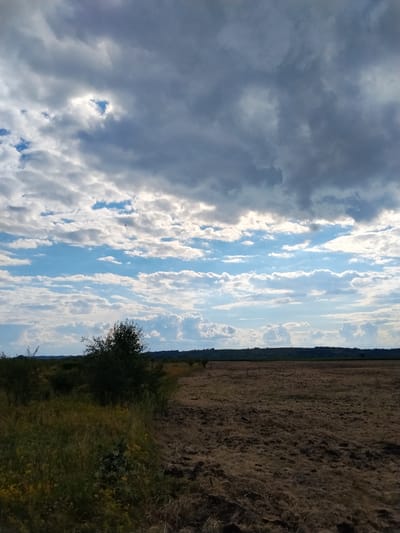 The image shows a wide, open rural landscape under a dramatic, cloudy sky. In the foreground, a strip of overgrown green and yellow grass, with scattered yellow wildflowers, runs along the left side. This is bordered by a freshly plowed, dark brown field that occupies the right two-thirds of the frame. In the mid-ground, a dense, dark green bush or small tree is visible on the left, behind the grassy area. A low, dark horizon line, possibly a treeline or distant hills, spans the background. The sky is filled with a mix of heavy, dark gray clouds and patches of bright blue sky with scattered white, puffy clouds. Sunlight breaks through the clouds in several places, illuminating parts of the sky. The scene appears to be located in the village of Ustyvytsya, Ukraine, given the natural, agricultural setting. No people or animals are clearly visible in the image.