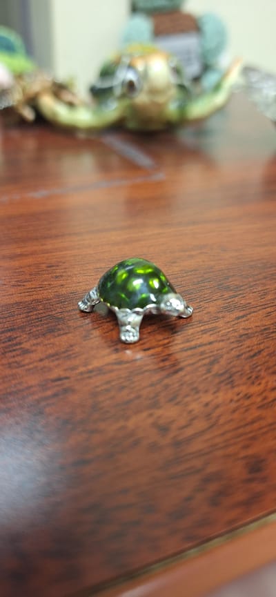 A small, metallic, emerald-green turtle figurine rests on a polished wooden surface. The figurine has a shiny, patterned shell and silver legs and head. The background is blurred, showing other objects on a table. The lighting is bright, creating reflections on the figurine and the wood. The location of Upper Tantallon, Canada is not depicted in the image.