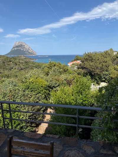 The image shows a scenic view of the coastline near Loiri-Poltu Santu Paolu/Loiri Porto San Paolo, Italy. In the distance, the distinctive rock formation of Tavolara Island dominates the horizon, jutting out from the clear blue sea. The foreground is filled with lush green vegetation, including various trees and shrubs, suggesting a Mediterranean landscape. A dark metal railing runs across the bottom of the frame, and a wooden chair is partially visible in the lower left corner, indicating a viewpoint or patio area. A few white buildings with orange roofs are nestled among the trees on the coast. The sky is a vibrant blue with scattered white clouds, and contrails from aircraft are visible. The overall impression is one of a peaceful and picturesque coastal setting.