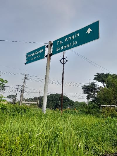 The image displays an outdoor scene dominated by a tall, light grey metal pole with two green road signs attached. The image is oriented vertically, causing the pole to appear horizontal and the text on the signs to be rotated. The upper, larger sign features a white arrow pointing to the left side of the frame, followed by the text "Tg. Angin" and "Sidoarjo". Below it, a smaller green sign reads "P. Perak/Gresik" and "Via Jalan Tol".
In the background, another darker pole stands further away, with multiple thin power lines or utility cables stretching across the mid-ground. The right side of the image is filled with lush, vibrant green grass and dense foliage, extending into the background. Distant trees are visible through the greenery. The sky above is a uniform light grey, indicating an overcast or cloudy day. No people or specific activities are visible in the static scene. The presence of the road signs, particularly mentioning "Jalan Tol" (Toll Road), suggests this location is near a road or highway in a rural or semi-rural setting. The text on the signs clearly indicates an Indonesian location, specifically referring to Sidoarjo, Perak, and Gresik, consistent with the provided context of Kecamatan Gempol, Indonesia.