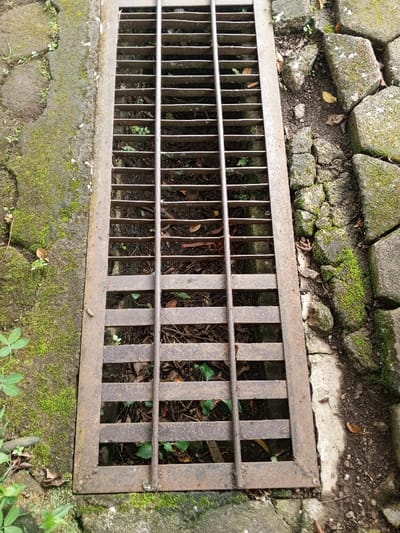 The image displays a weathered, rectangular metal grate, likely a drain or trench cover, situated outdoors in what appears to be Baza, Myanmar (Burma). The grate is constructed from horizontal flat metal bars intersected by three vertical, thinner, round metal bars. Its surface shows clear signs of rust and age, indicating prolonged exposure to the elements. Beneath the grate, a collection of organic debris is visible, including dry leaves, small twigs, and various small green plants or weeds that have grown through the openings in the grate.
The grate is embedded in an uneven ground surface. To its left, the ground consists of what appears to be concrete or paving, heavily covered in vibrant green moss and dotted with small leafy plants. To the right, the ground transitions to an area of irregularly shaped stone pavers, also partially covered in moss and surrounded by loose soil and dirt. The overall scene suggests an outdoor pathway or garden area that has been allowed to naturalize, with vegetation growing between and on the paved surfaces, typical of a humid climate.
The lighting indicates daytime, with soft, diffused light suggesting an overcast sky or an area shaded from direct sunlight. No people or activities are present. There is no visible text in the image.