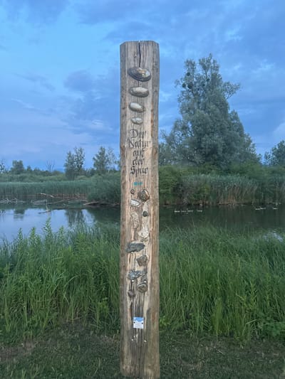 A close-up, eye-level, vertical shot captures a weathered wooden post standing in a natural environment. The post is adorned with various objects, including what appear to be shells and stones, attached along its length. Some script, seemingly in German, is carved or painted onto the wood. At the bottom of the post, a small, rectangular informational plaque with blue and white detailing is affixed. The post is set against a backdrop of dense green reeds and grasses bordering a body of calm water. In the distance, a line of trees and foliage stretches across the horizon under a dusky, cloudy sky. Several ducks are visible swimming on the water in the mid-ground. The overall scene suggests a serene, outdoor location, possibly a nature reserve or park, within the municipality of Rimsting, Germany.