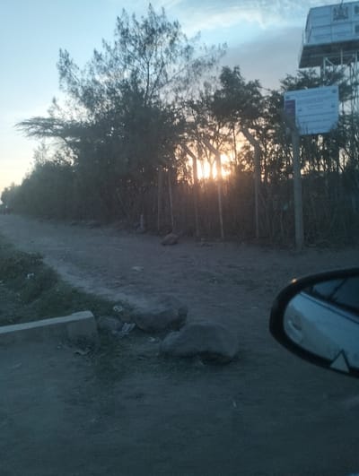 A dirt road stretches through the landscape, with trees and shrubs lining one side. A few large rocks are scattered along the roadside. Sunlight filters through the trees, creating a warm glow. A sign and a water tower are visible behind the trees. The side mirror of a car is in the lower right corner, suggesting the photo was taken from inside a vehicle.