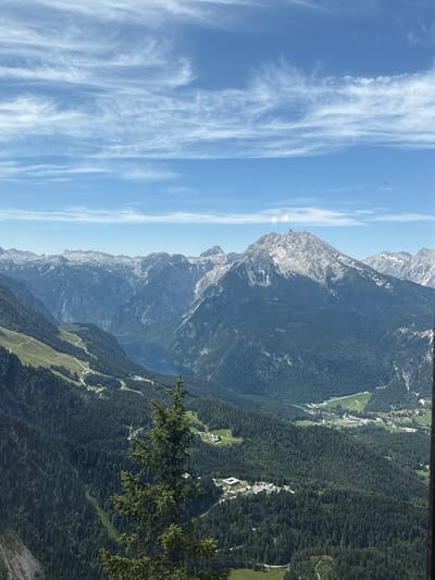 The image depicts a panoramic view of the Berchtesgaden Alps in Germany. The foreground features a tall evergreen tree in the lower right quadrant, obscuring a portion of the view. Beyond the tree, a vast expanse of dense green forest covers the slopes of the mountains. Winding roads with switchbacks are visible on the grassy slopes in the mid-ground, leading towards a tranquil, dark blue lake nestled within a valley. In the distance, a range of imposing, rocky mountains with snow-capped peaks stretches across the horizon. The sky above is a bright blue with scattered white, wispy clouds. The scene is bathed in natural daylight, suggesting a clear, sunny day.